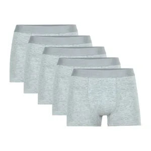 Pack de 5 boxer gris clair pour homme